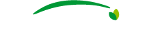 Yallioglu